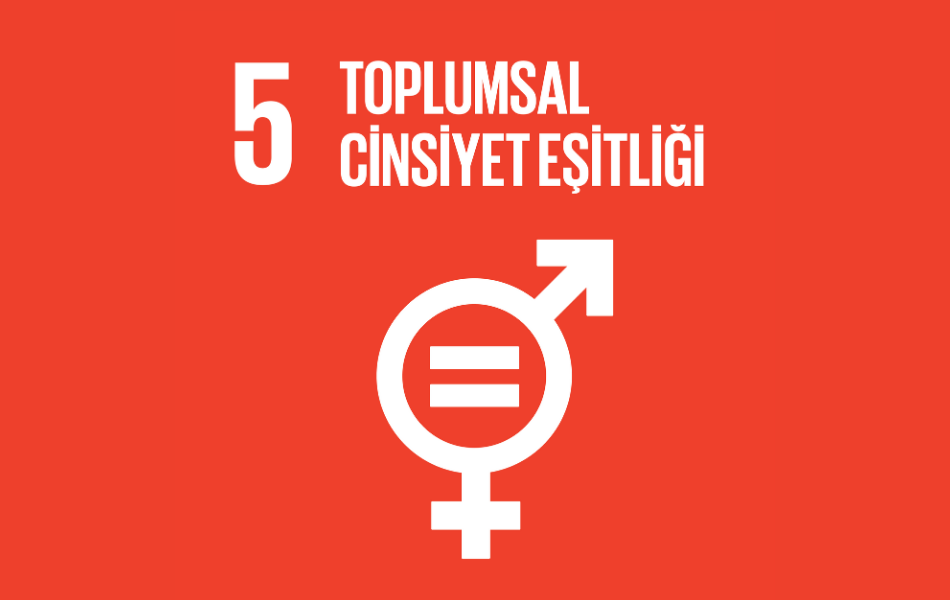 sdg5