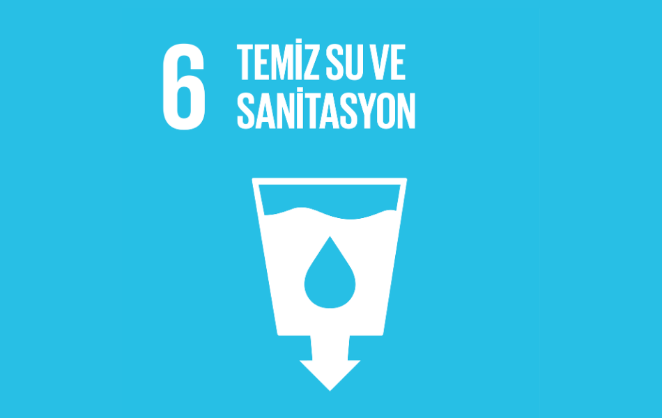 sdg6