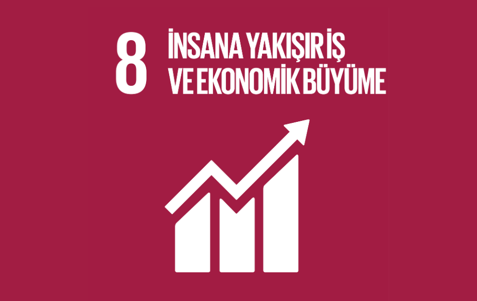 sdg8