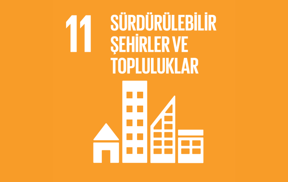 sdg11