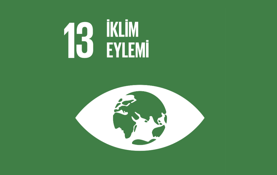 sdg13