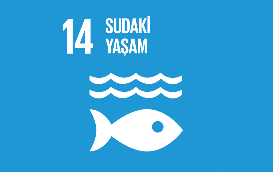 sdg14