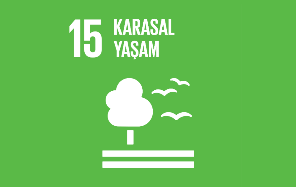 sdg15