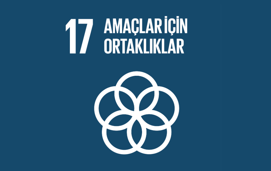 sdg17