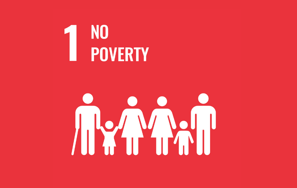 sdg1