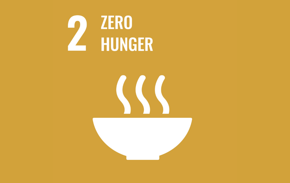 sdg2
