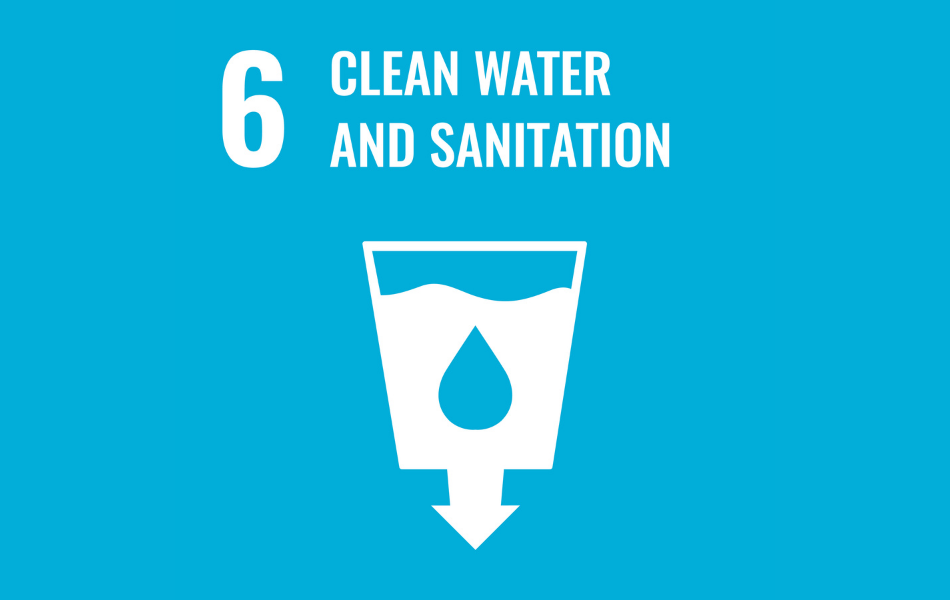sdg6