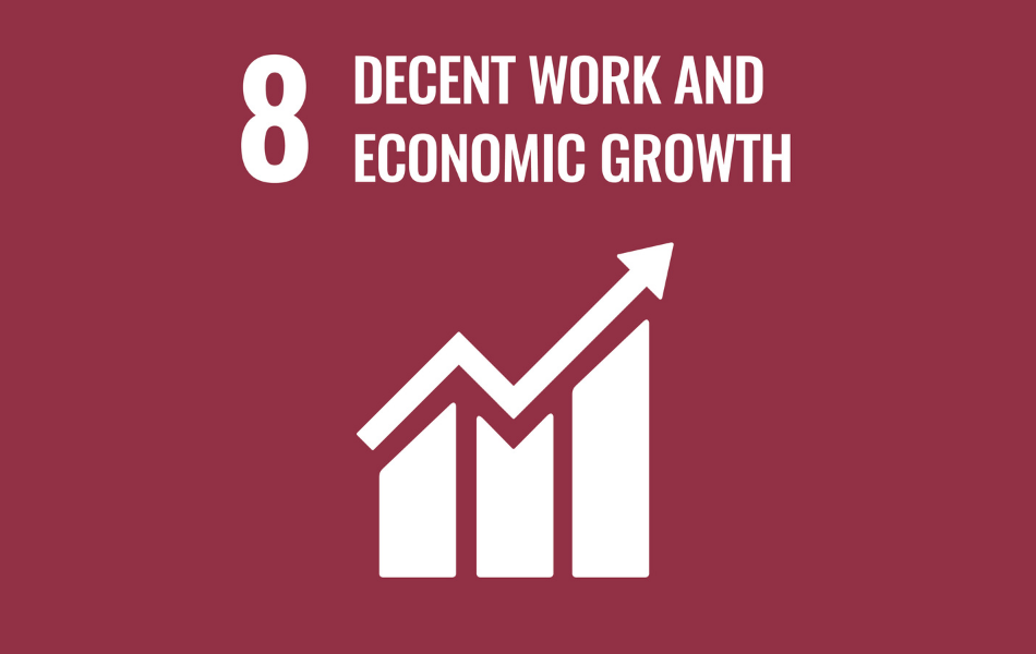sdg8