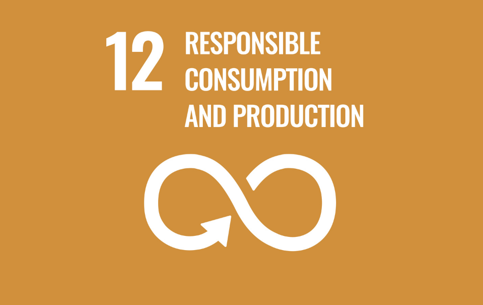 sdg12