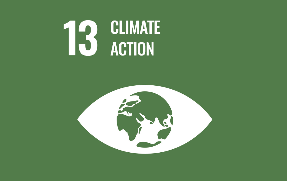 sdg13
