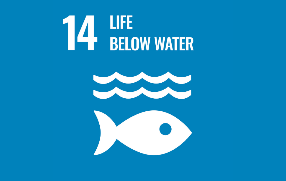 sdg14