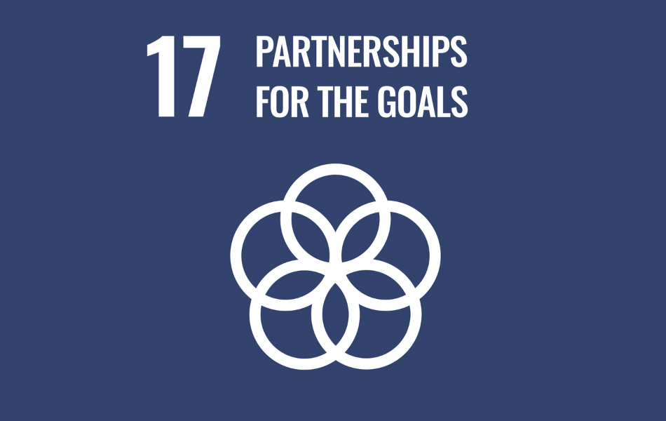 sdg17