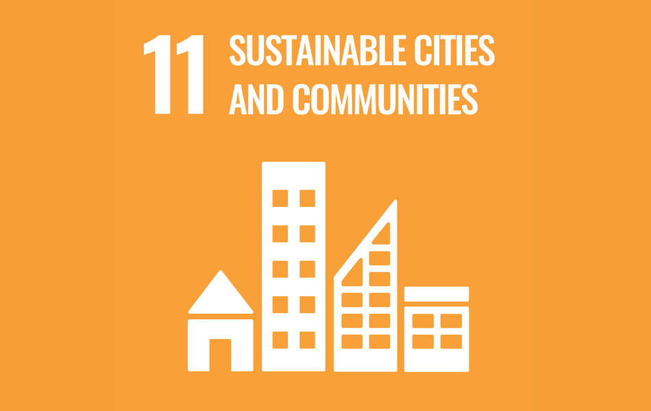 sdg11