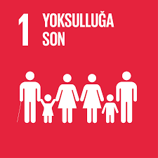 sdg1