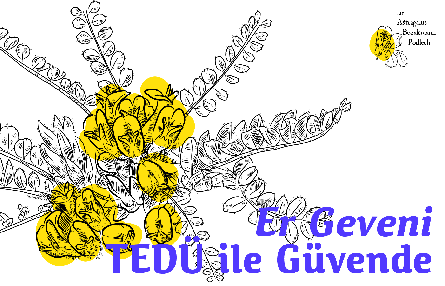 ergeveni
