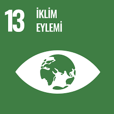 sdg13