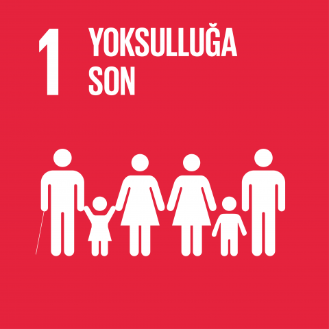 sdg1