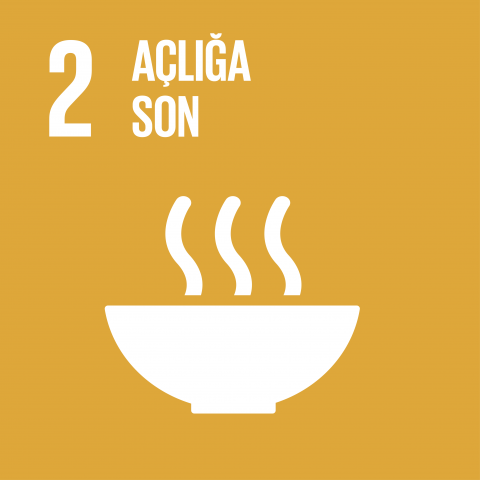 sdg2