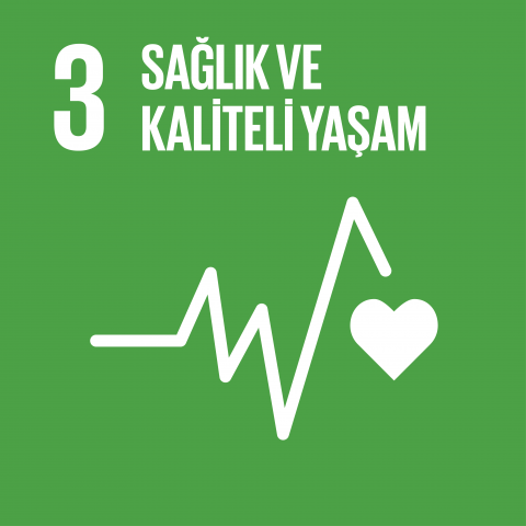 sdg3