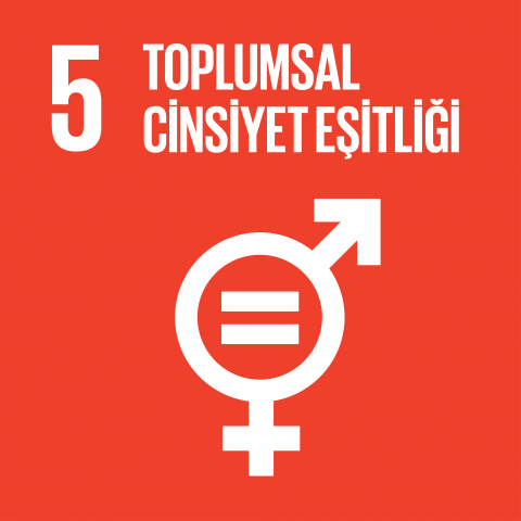 sdg5