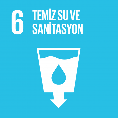 sdg6