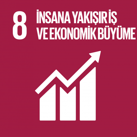 sdg8