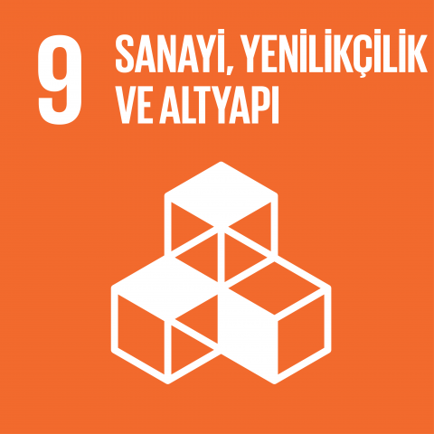 sdg9