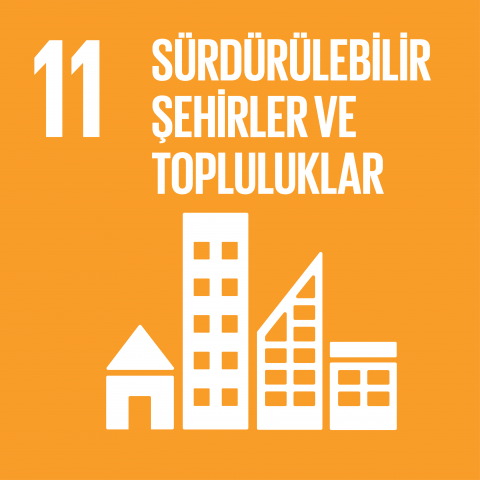 sdg11