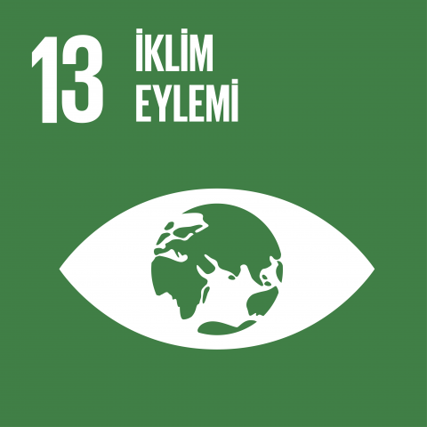 sdg13