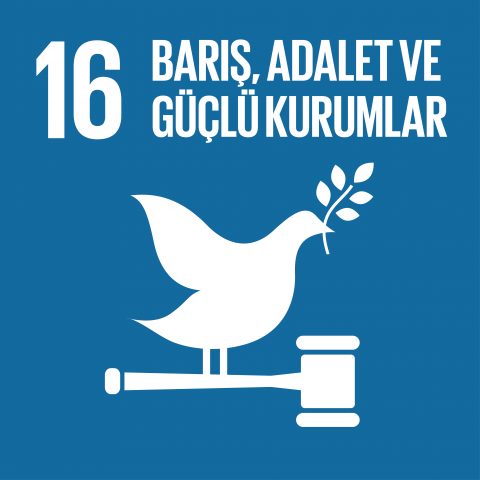 sdg16