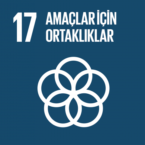 sdg17