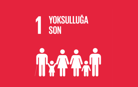 SDG1