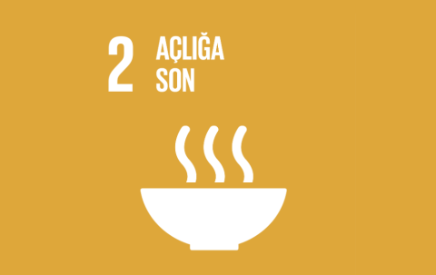 SDG1