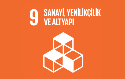 sdg9