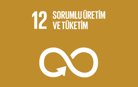 sdg12