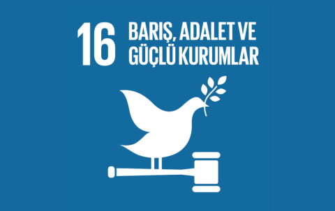 sdg16
